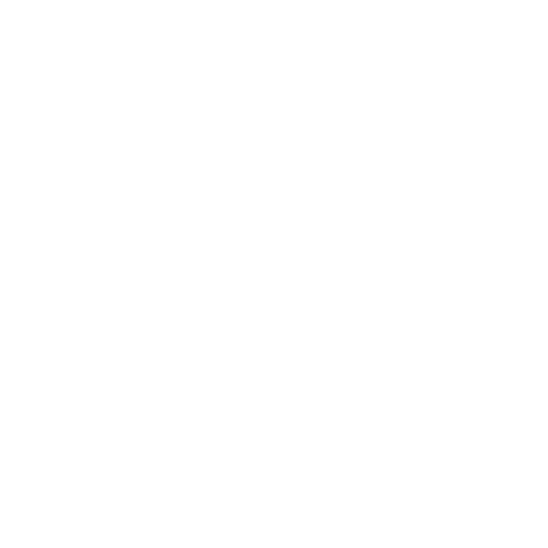 FSM Logo